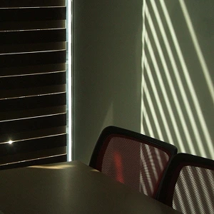 Motorised Blinds